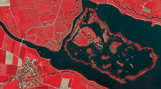 Ein Color-Infrarot-Luftbild zeigt die Vogelinsel bei Muhr am See in einer Senkrechtaufnahme.